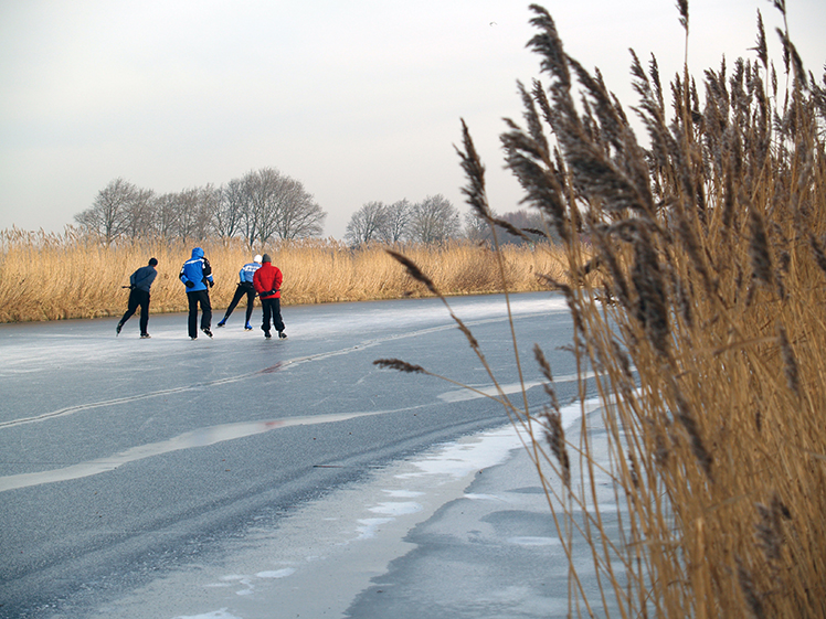 mensen aan het schaatsen